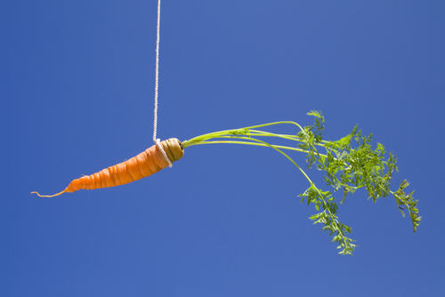 Dangling Carrot