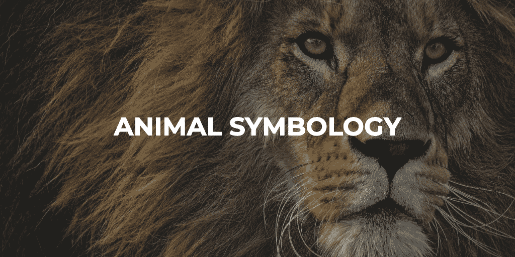 How to Use Animal Symbology in Design