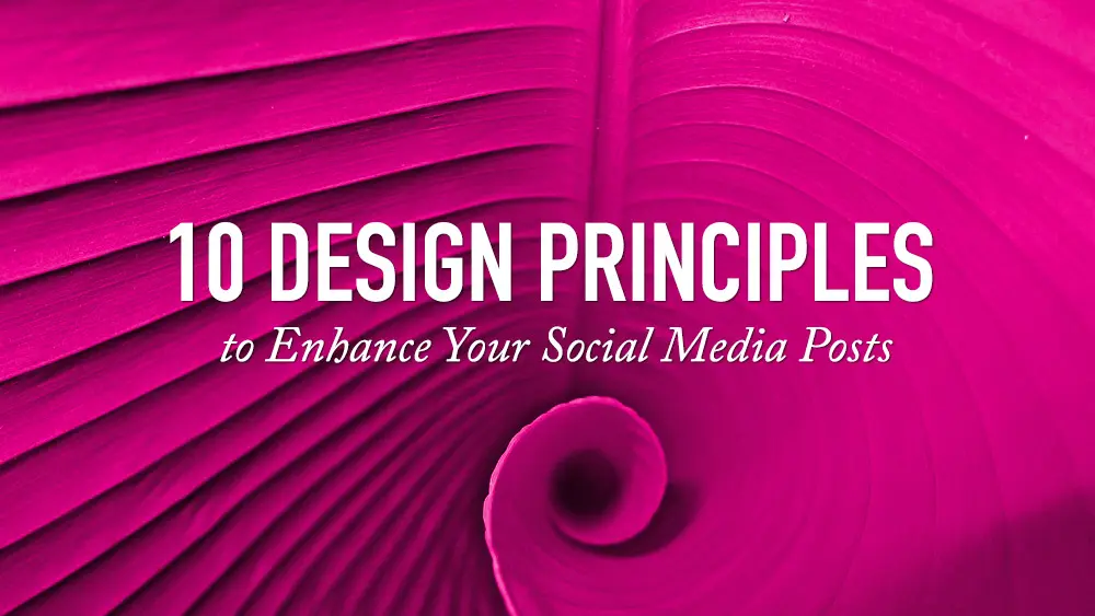 Design Principles for Social Media