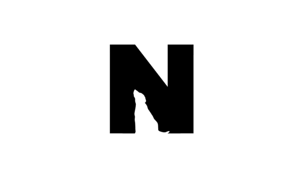 Negative Space Logo N