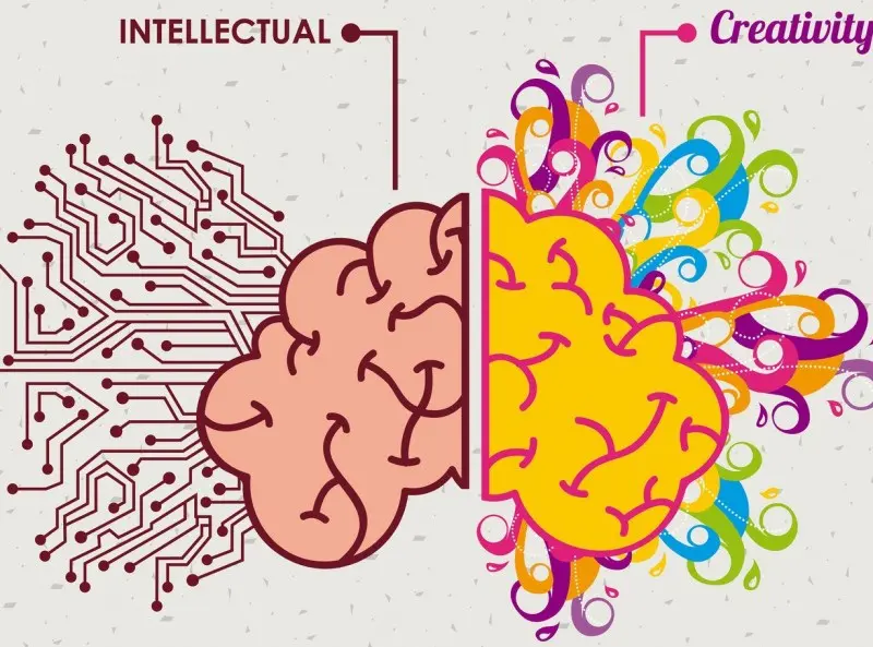 Habits of Creativity - Brain