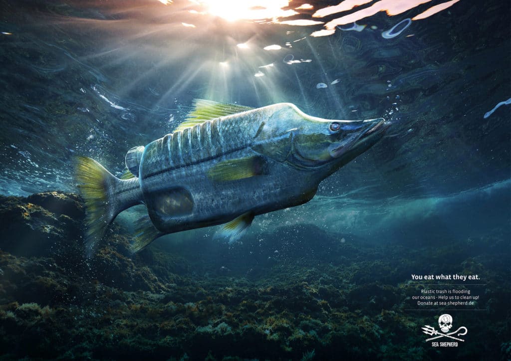 Best Creative Print Ads - Sea Shepard