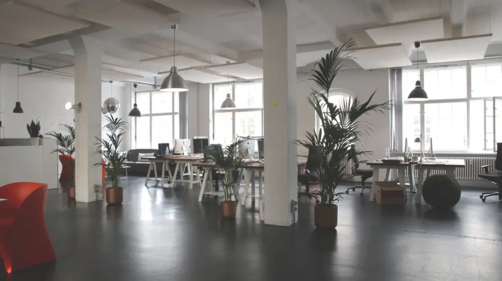 Bright office space with plants