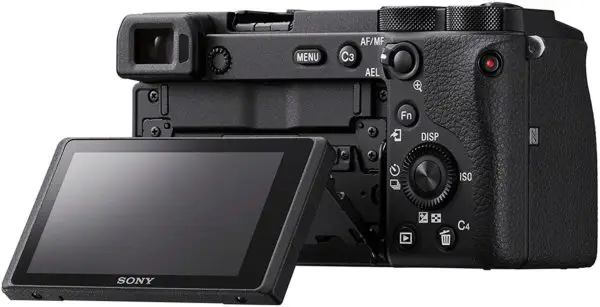Sony A6600 + 70-300lens mm lens (Sony APS-C E-mount SEL55210B Lens)
