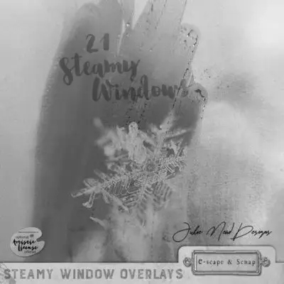 Steamy Windows