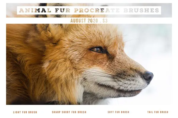 Animal Fur Procreate Brushes