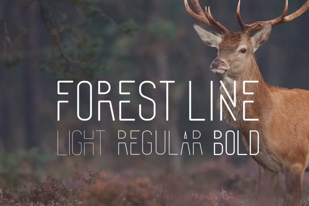 The Forest Line — One of the best condensed fonts for futuristic design