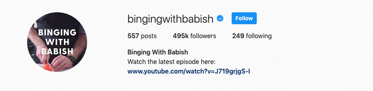 Optimised Instagram bio by @bangingwithbabish