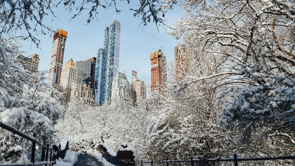 Wintertime in NYC - Boosting Productivity and Creativity
