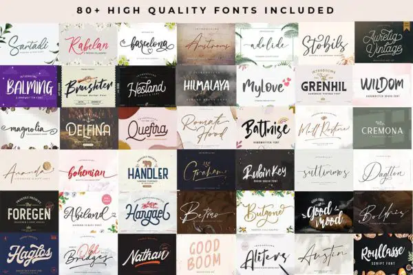 Graphic Designer's Font Bundle