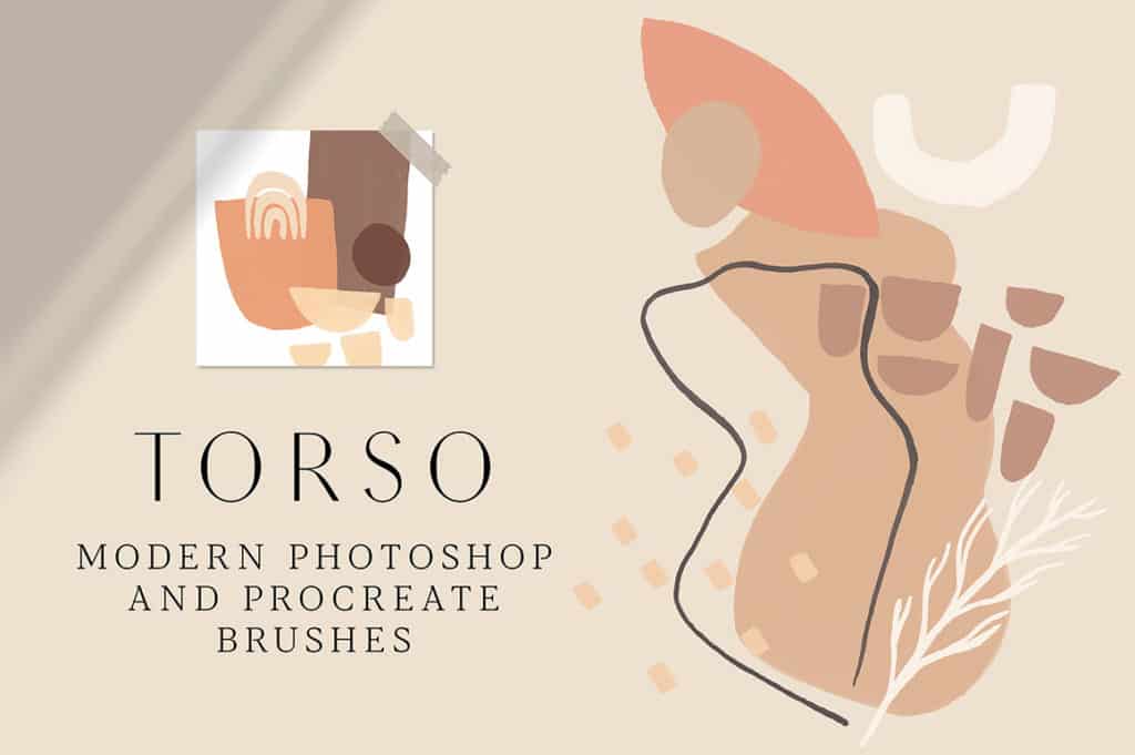 Torso – Photoshop and Procreate Stamp Brushes