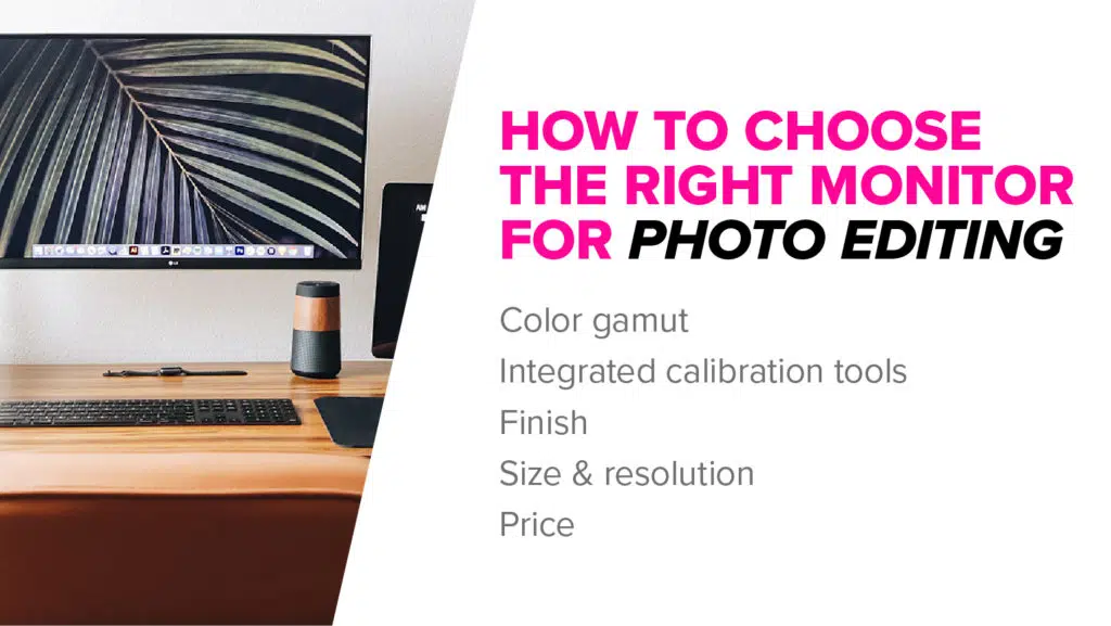 How to choose a monitor for photo editing