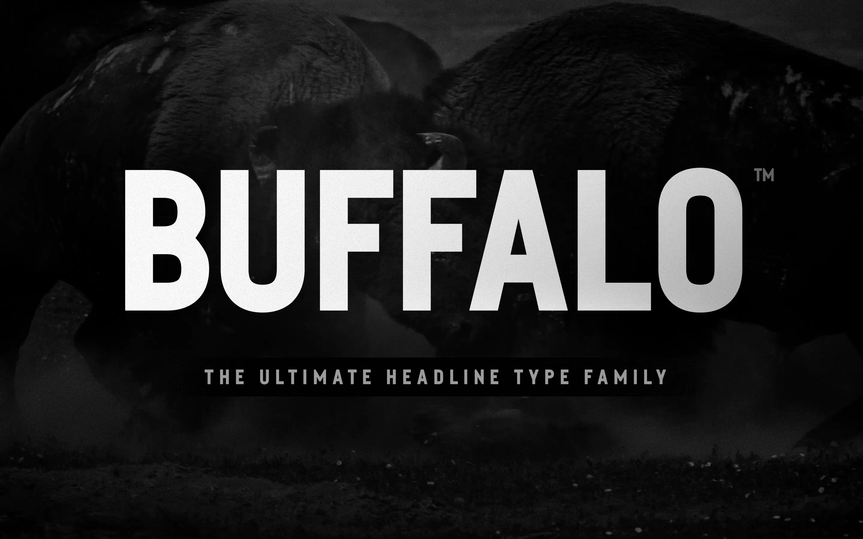 Buffalo - Best Headline Font