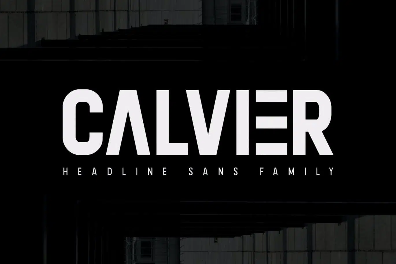Calvier-Headline-Sans-Family.jpg.webp