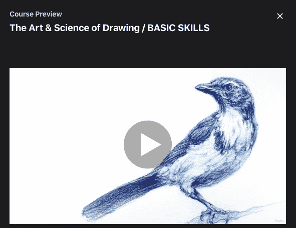 The Art & Science of Drawing / BASIC SKILLS