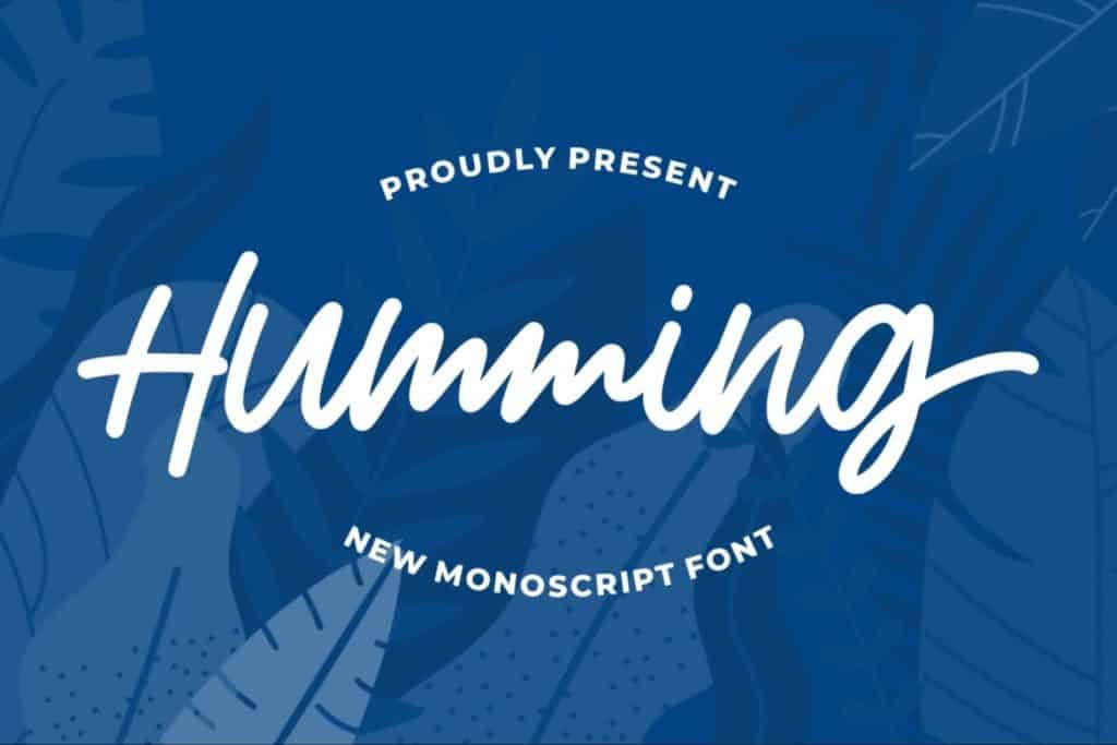 Humming | Monoscript Font