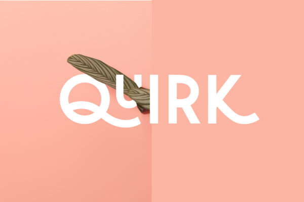 Quirk – Fun Display Font