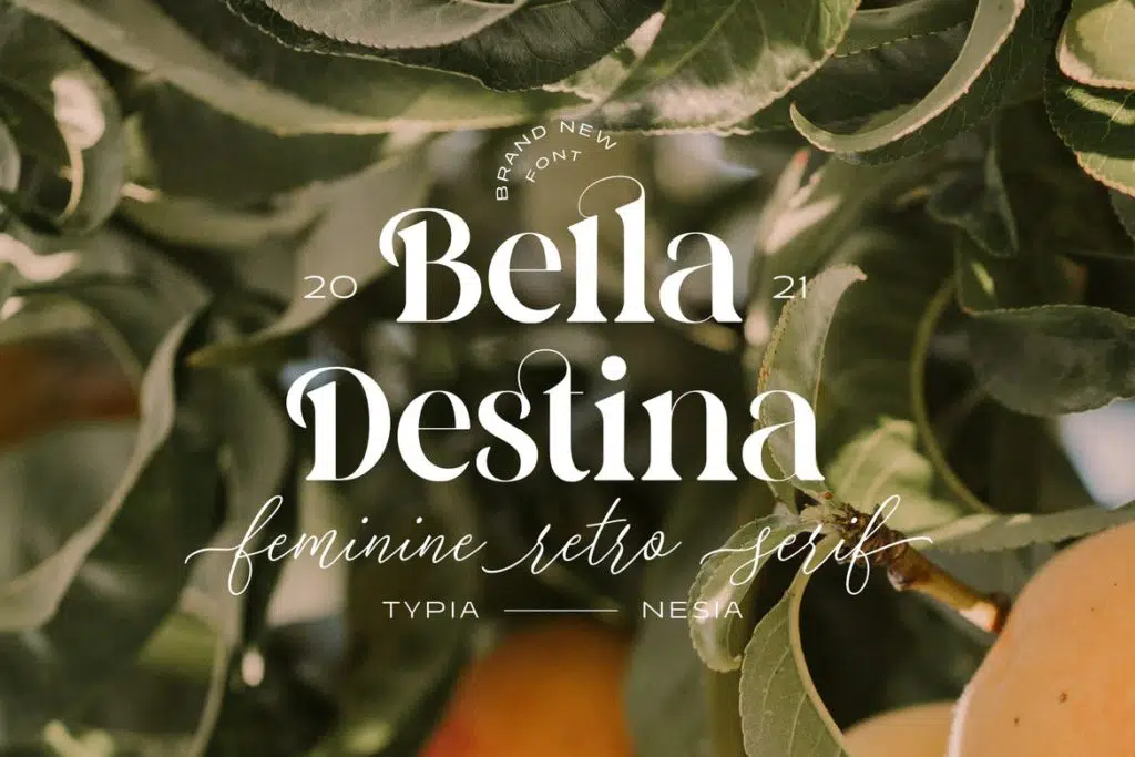 Bella Destina - Beauty Romantic Serif Font