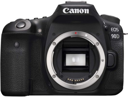Canon EOS 90D DSLR - Best camera for artwork overall