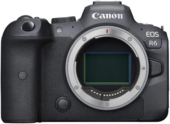 Canon EOS R6-Best Cameras for Photographing Artwork