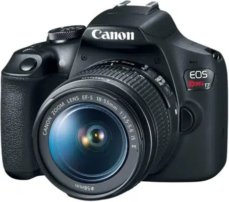 Canon EOS Rebel T7-Best Cameras for Photographing Artwork