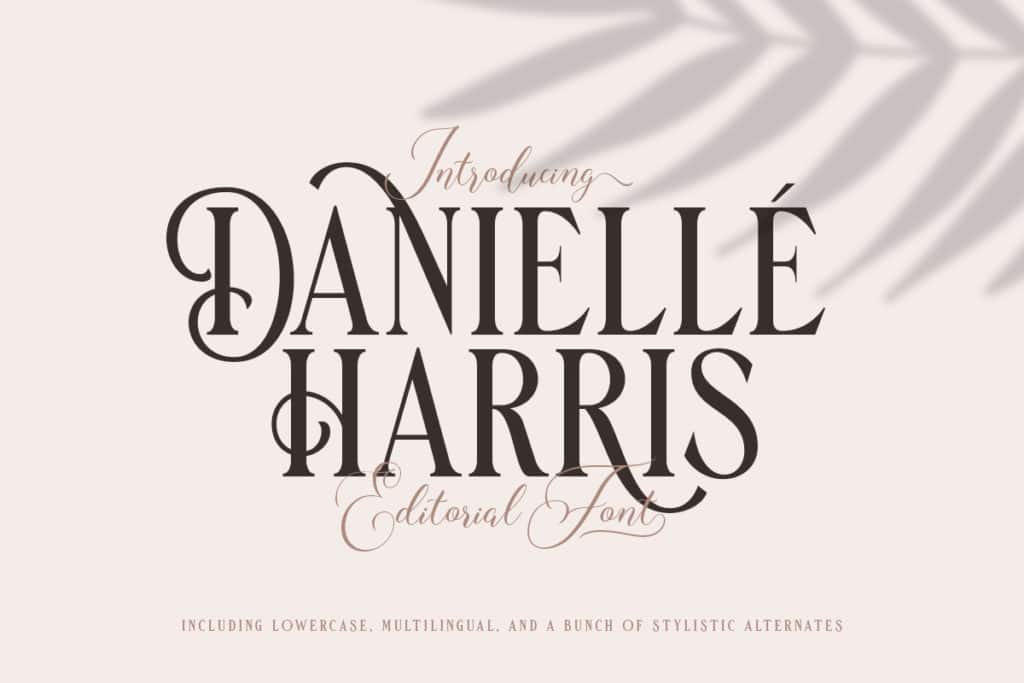 Danielle Harris – Editorial Font