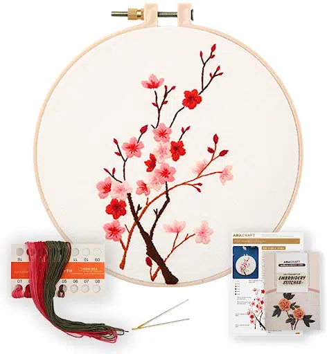 Similane Embroidery Kit 215 Pcs,100 Colors Threads,5 Pcs Embroidery Hoops,3  Pcs Aida Cloth,40 Sewing Pins,Cross Stitch Tools and Embroidery Starter