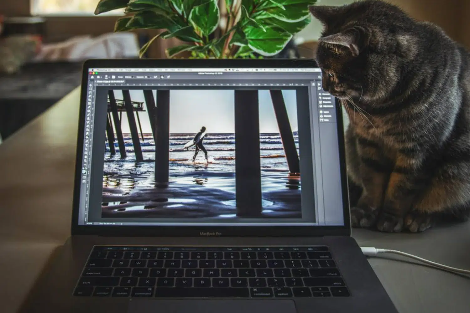 9 Best Laptops for Photoshop in 2024