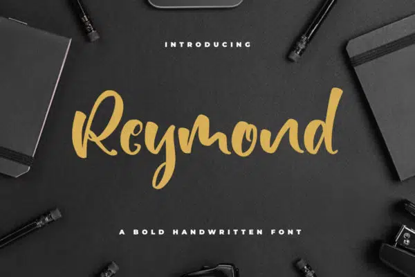 Reymond - Bold Font | image credit: Envato Elements