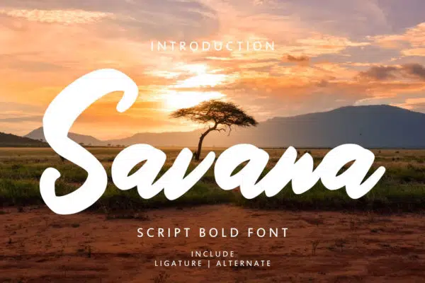 Savana - Script Bold Font