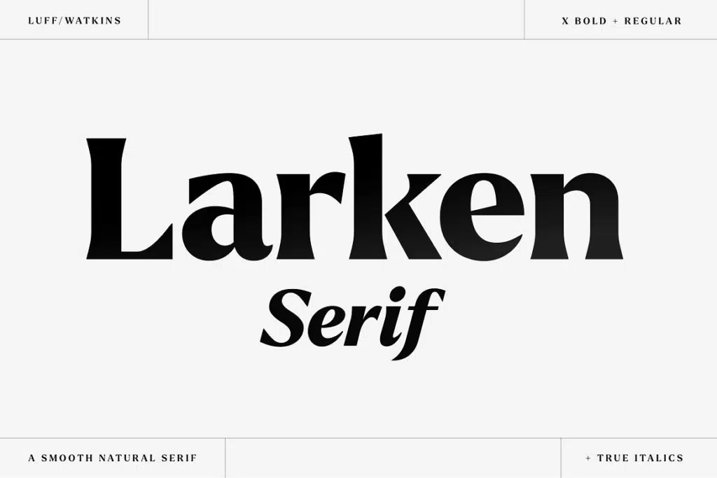 Larken — A Beautiful Serif