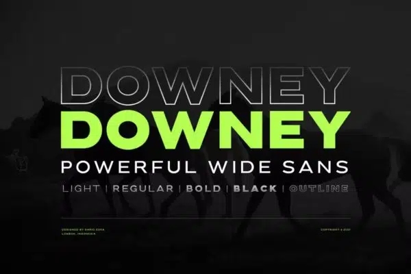 Downey - Powerful Wide Sans