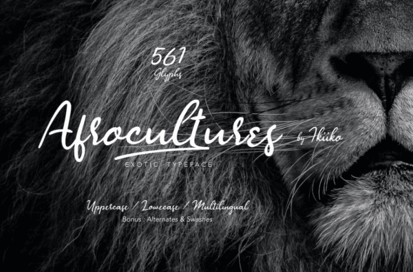 Best African Fonts For Wild Designs