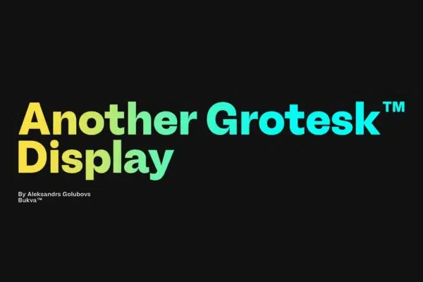Another Grotesk Display Family