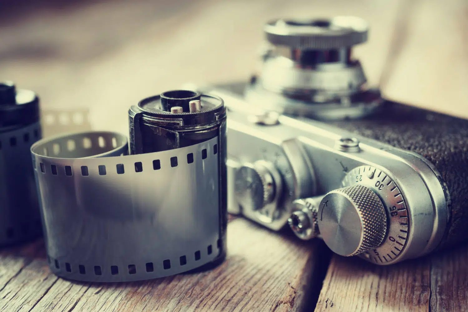 Best Film Cameras for Beginners