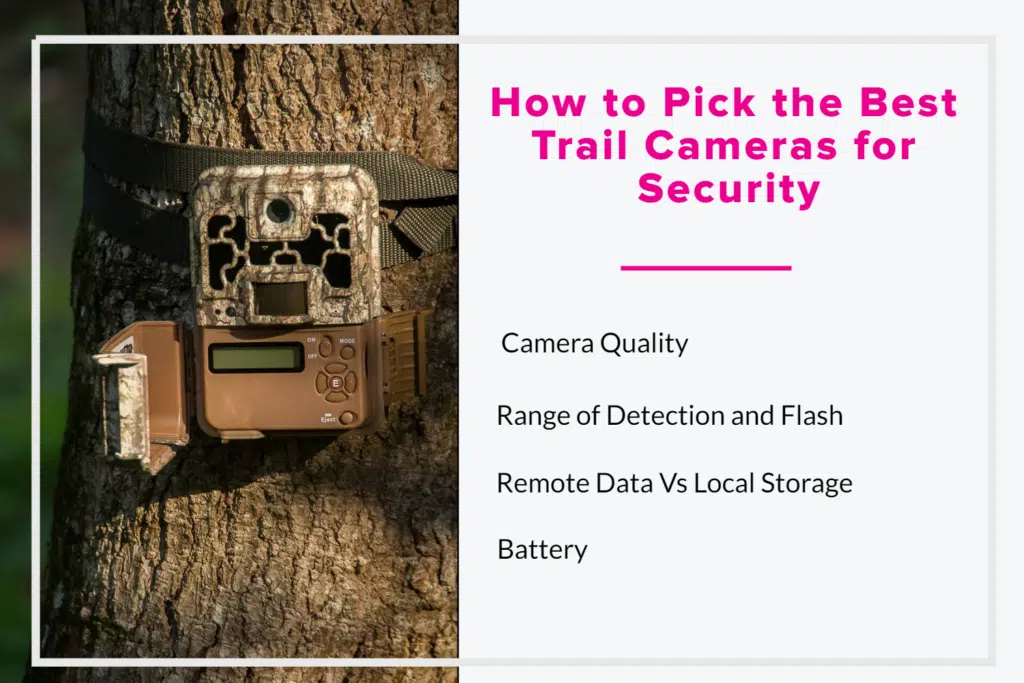 How to pick the best trail cameras for security