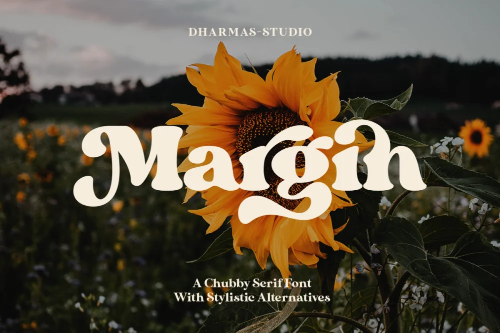 Margin – Retro Serif Font