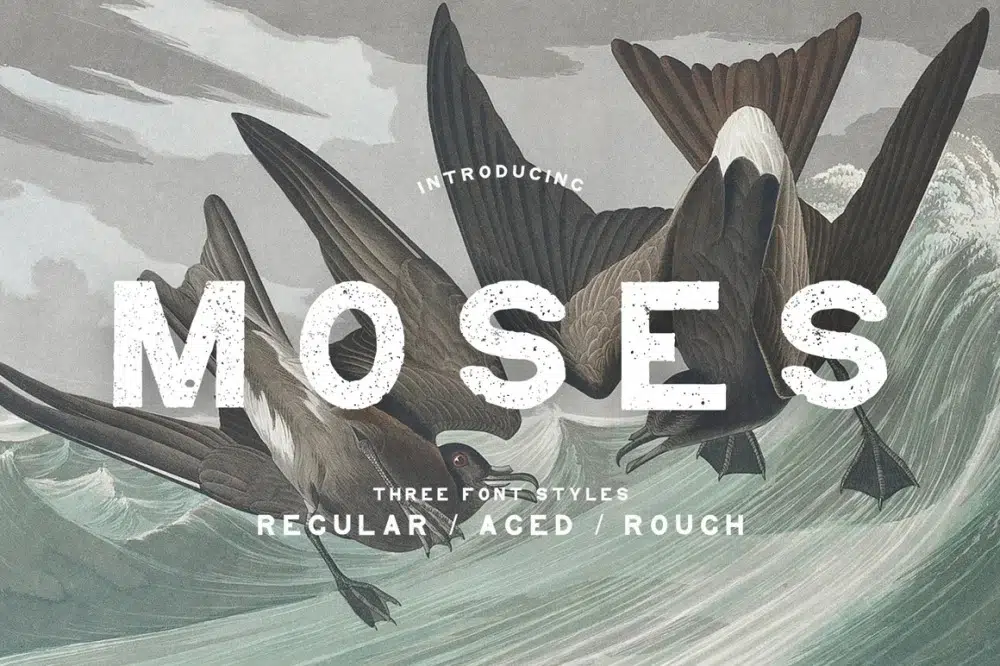 Moses – Display Grotesque Typeface