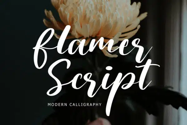 Flamer Script