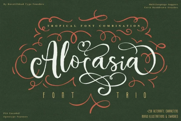 Alocasia – Trio Font Combination