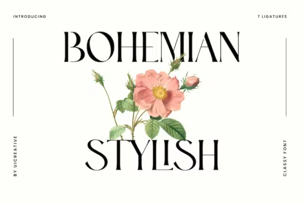 Bohemian Stylish