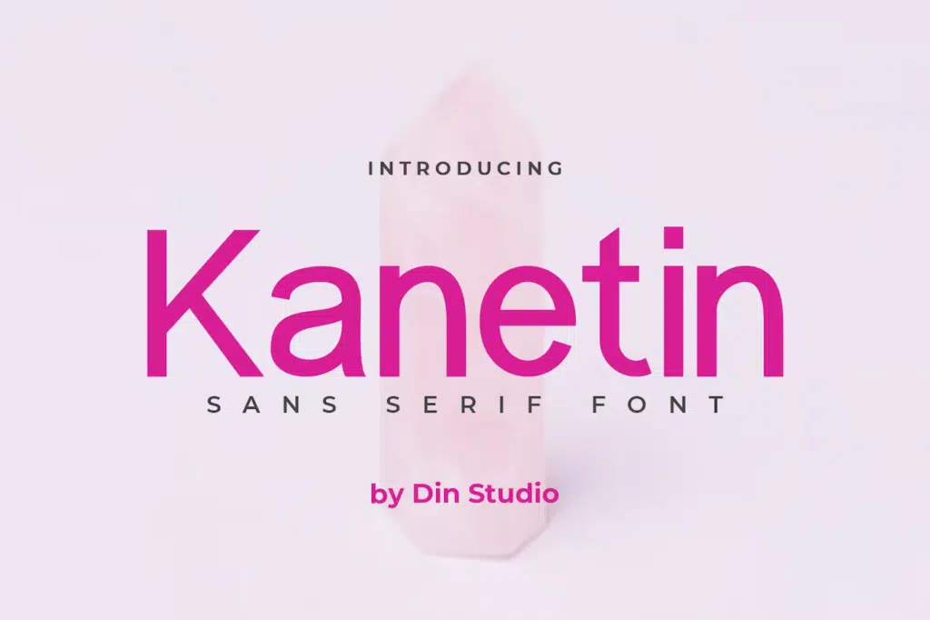 Kanetin-Beautiful Sans Serif Font