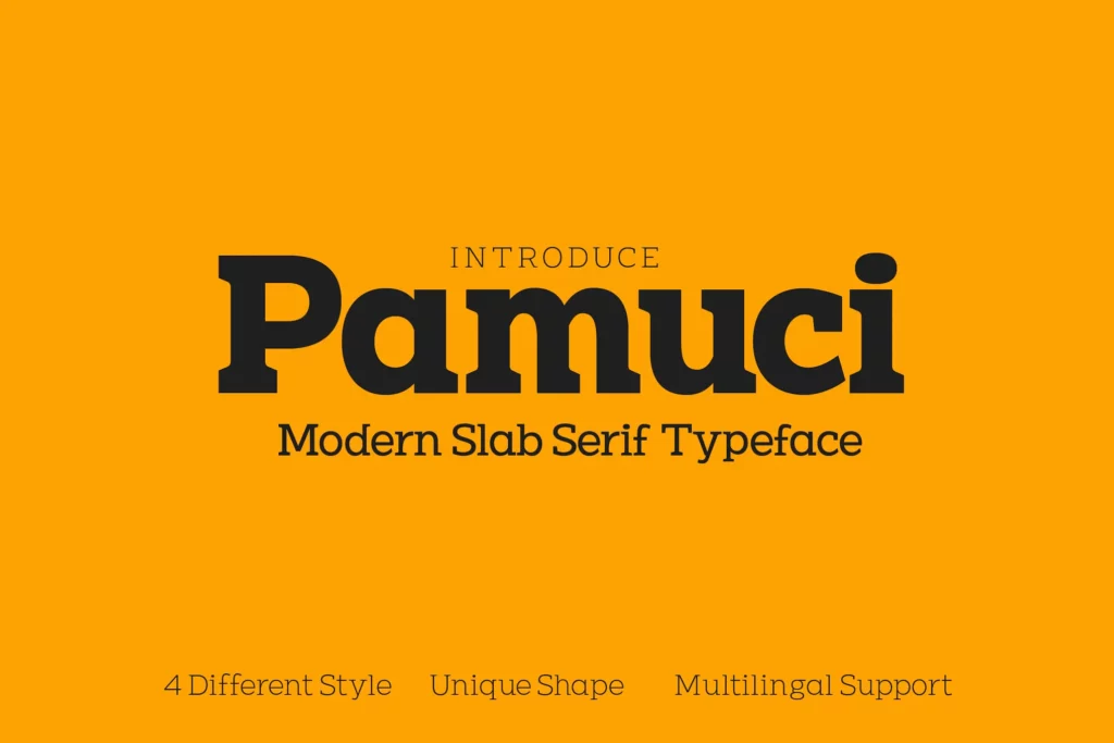 Pamuci - Modern Slab Serif Typeface