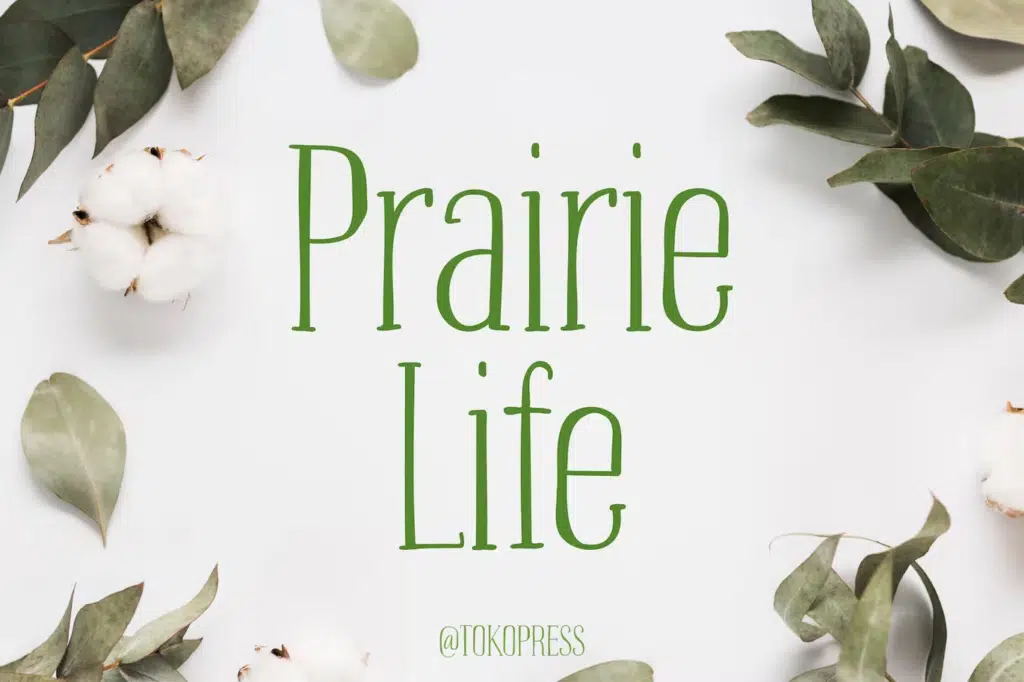 Prairie Life - Girly Font