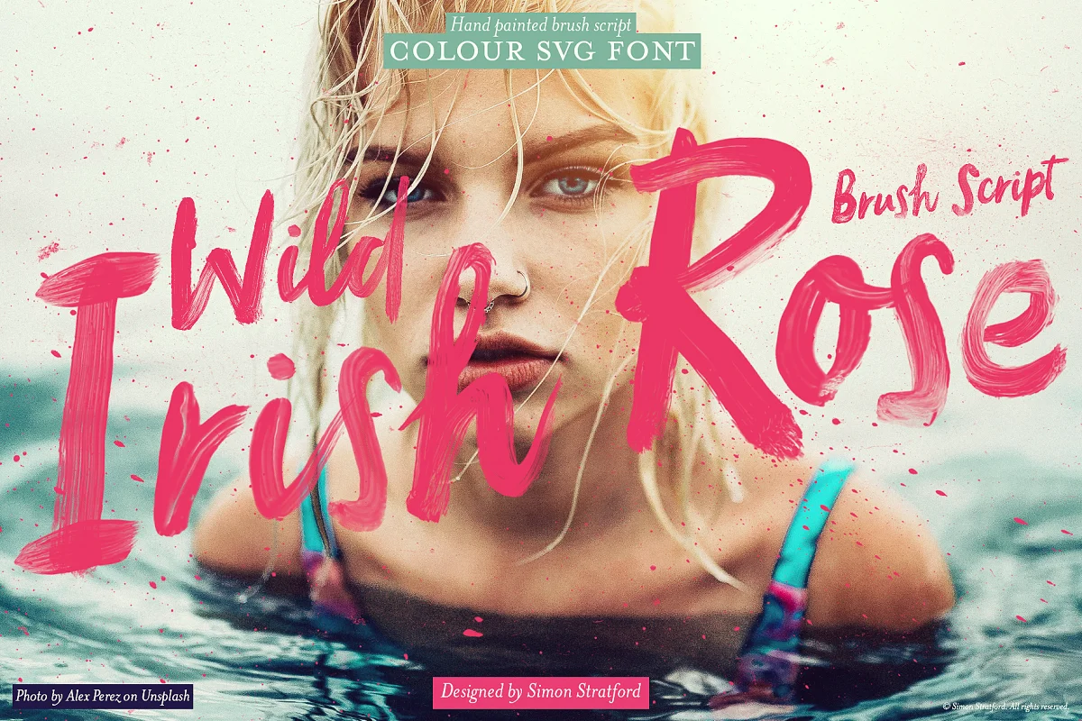Script font Wild Irish Rose