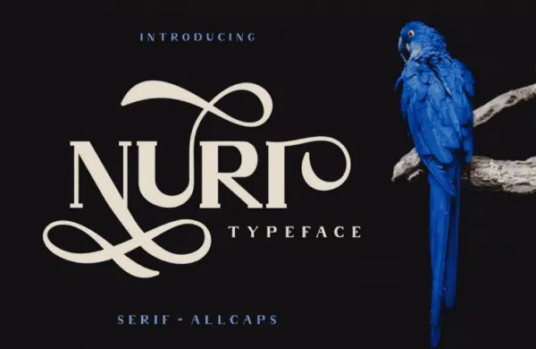 Nuri- best fonts for logos