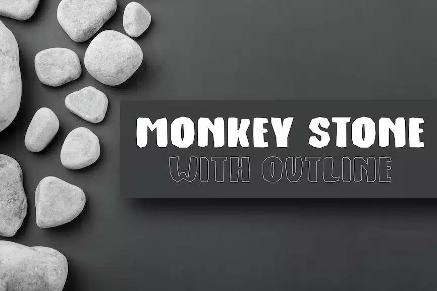 monkey stone