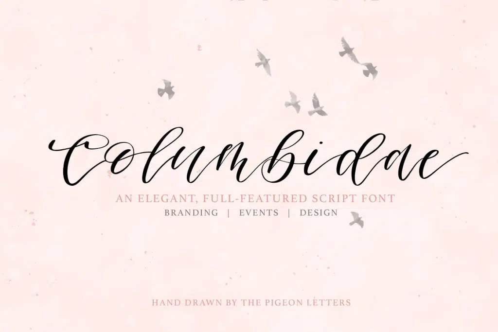 Columbidae Elegant Calligraphy Font