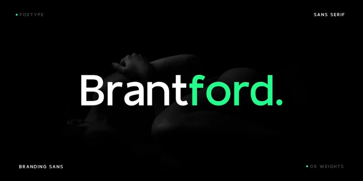 Brant Ford