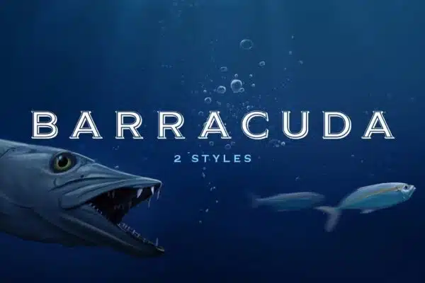 Barracuda Display - Logo Font